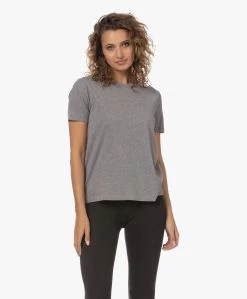 Majestic Filatures T-Shirt Met Ronde Hals - Grijs Mêlee 22 Majestic Filatures T-Shirt Met Ronde Hals - Grijs Mêlee -JAMES PERSE WINKEL 230711 8bf9d05f 277a 46b6 babc 999b6880e138